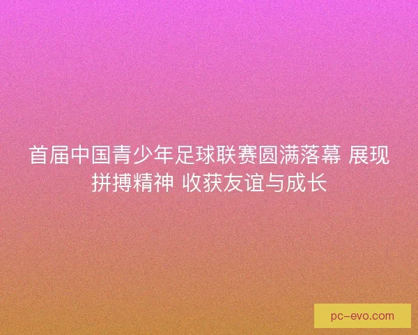 首届中国青少年足球联赛圆满落幕 展现拼搏精神 收获友谊与成长